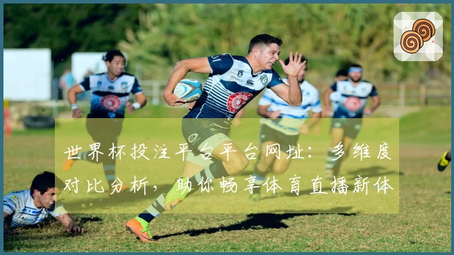 世界杯投注平台平台网址：多维度对比分析，助你畅享体育直播新体验