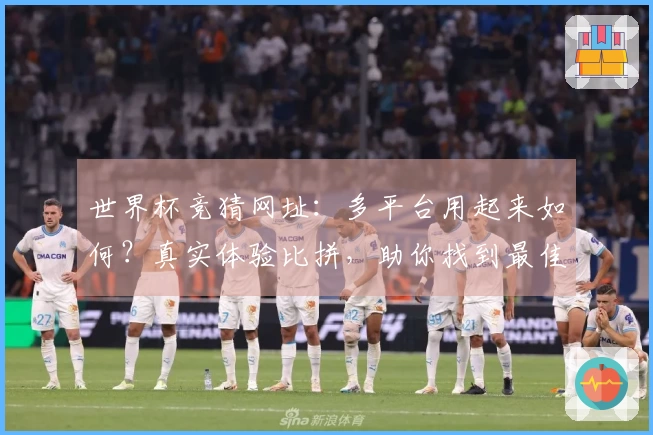世界杯竞猜网址：多平台用起来如何？真实体验比拼，助你找到最佳观赛入口
