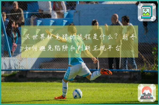 买世界杯竞猜的流程是什么?新手如何避免陷阱和判断正规平台