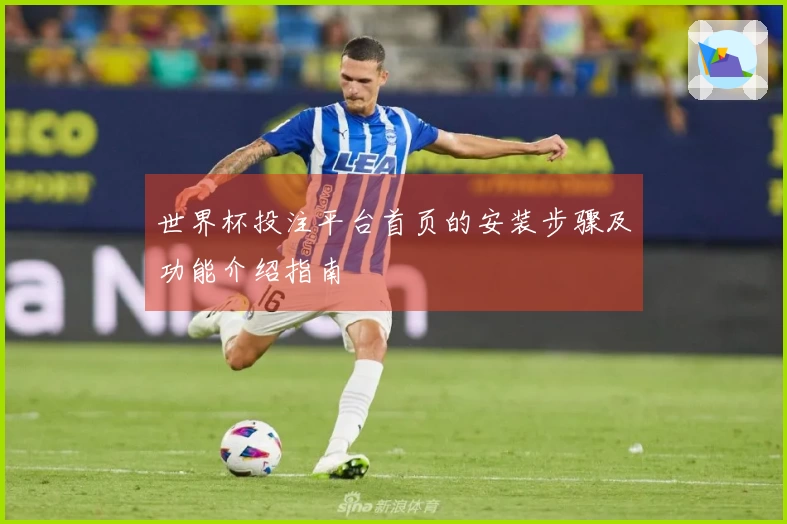 世界杯投注平台首页的安装步骤及功能介绍指南