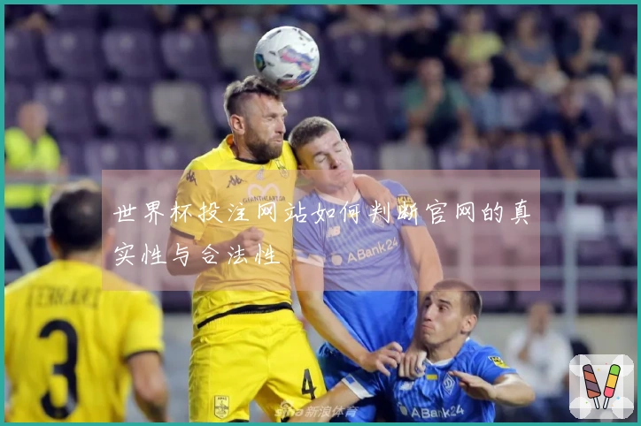 世界杯投注网站如何判断官网的真实性与合法性