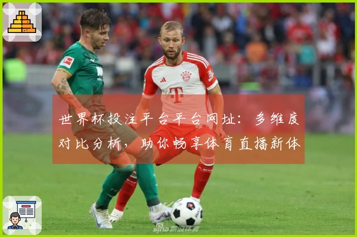 世界杯投注平台平台网址：多维度对比分析，助你畅享体育直播新体验