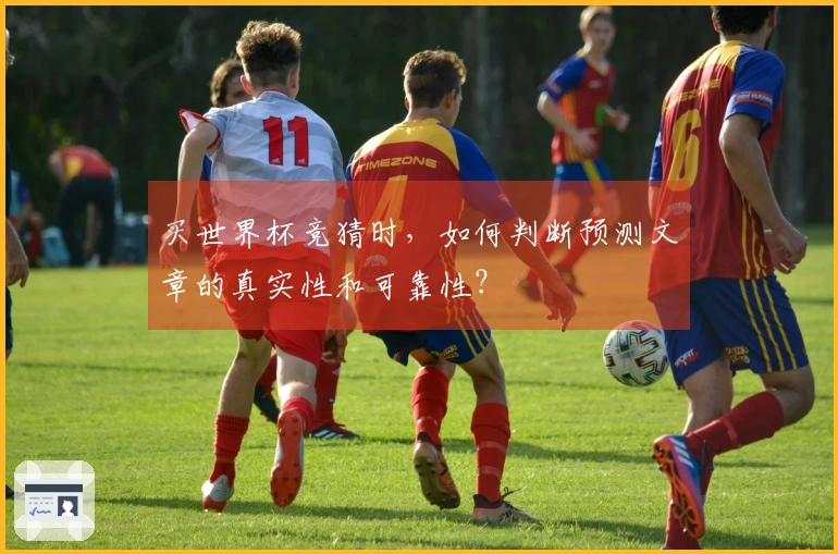 买世界杯竞猜时,如何判断预测文章的真实性和可靠性?