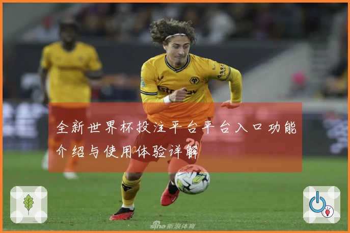 全新世界杯投注平台平台入口功能介绍与使用体验详解