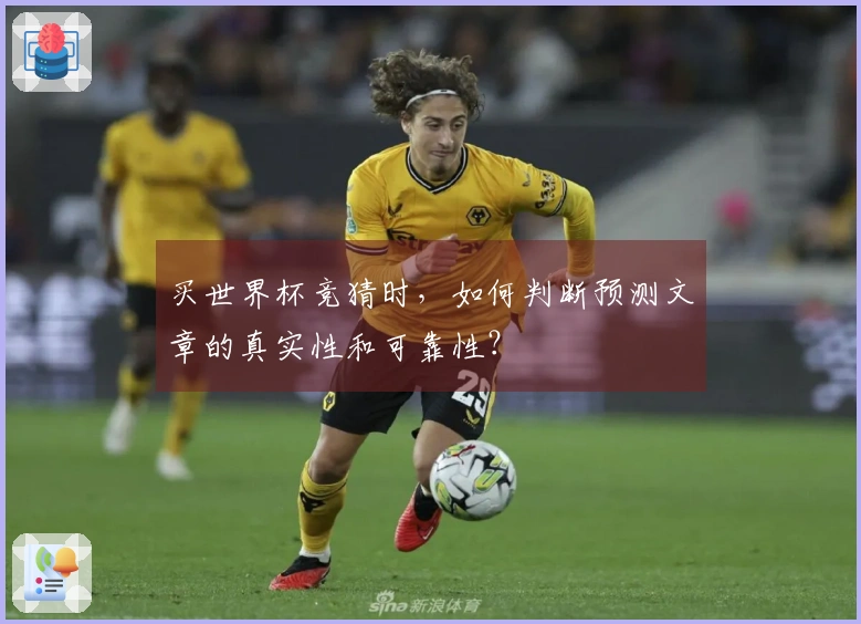 买世界杯竞猜时，如何判断预测文章的真实性和可靠性？