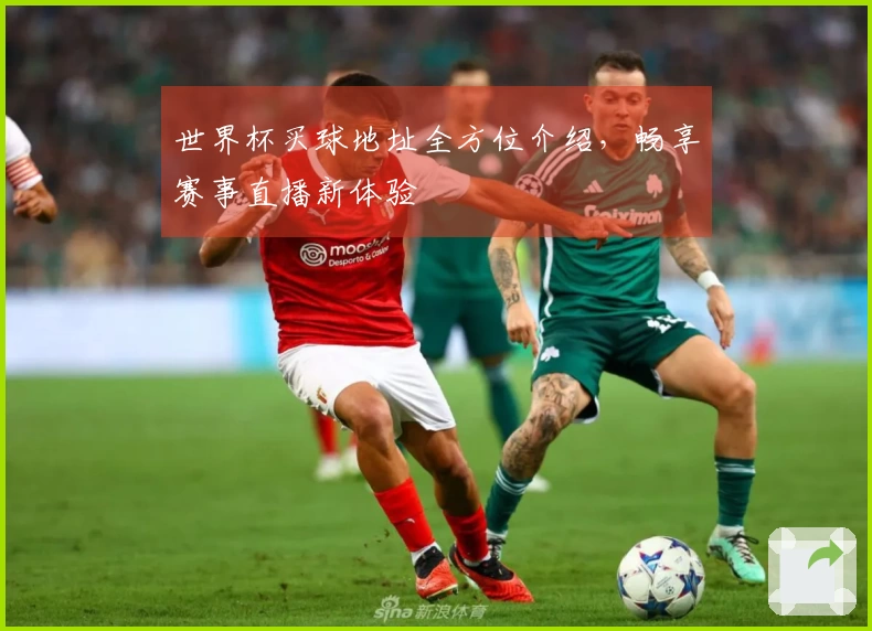 世界杯买球地址全方位介绍，畅享赛事直播新体验