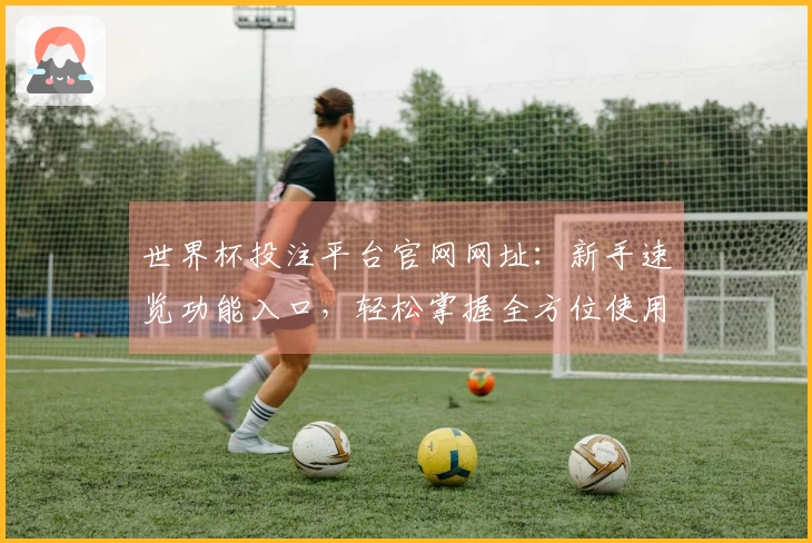 世界杯投注平台官网网址：新手速览功能入口，轻松掌握全方位使用攻略