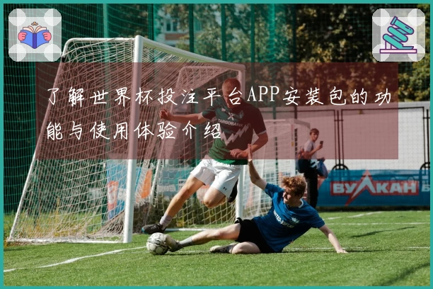 了解世界杯投注平台APP安装包的功能与使用体验介绍