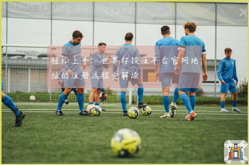 轻松上手：世界杯投注平台官网地址的注册流程全解读
