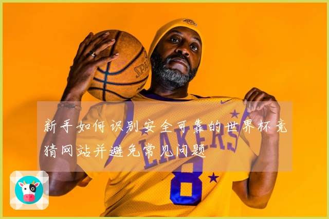 新手如何识别安全可靠的世界杯竞猜网站并避免常见问题