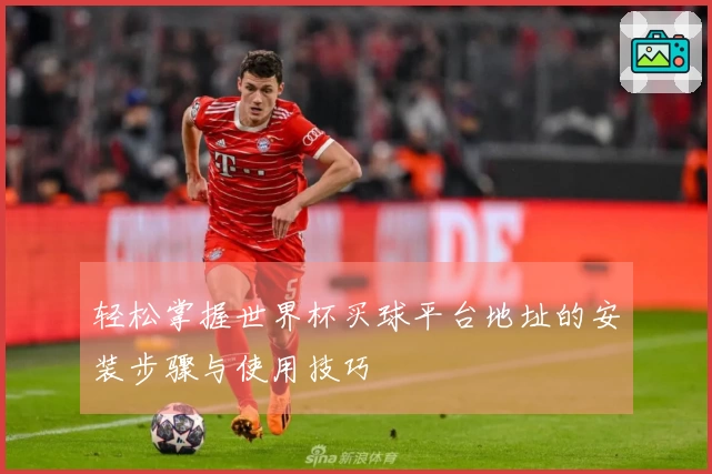 轻松掌握世界杯买球平台地址的安装步骤与使用技巧